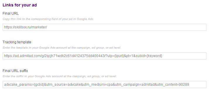 How do I insert an affiliate link into Google Ads? 4